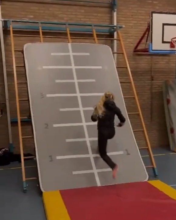 3m 5m 6m 8m 10m 12m Big Size O - Tumbling Air Track recensie en prijs